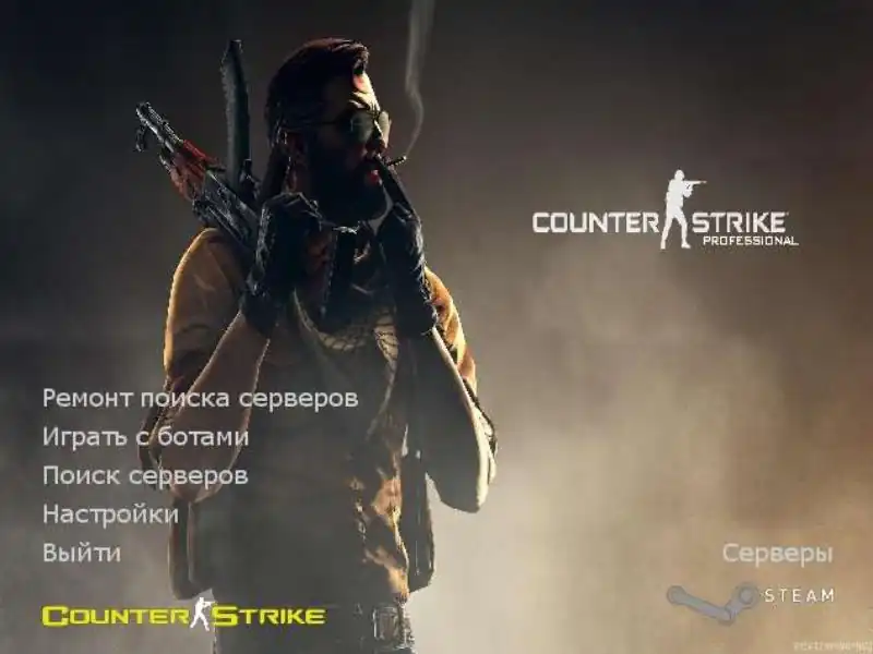 скачать кс 1.6 профессионал